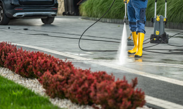 Best Driveway Pressure Washing  in Lorton, VA
